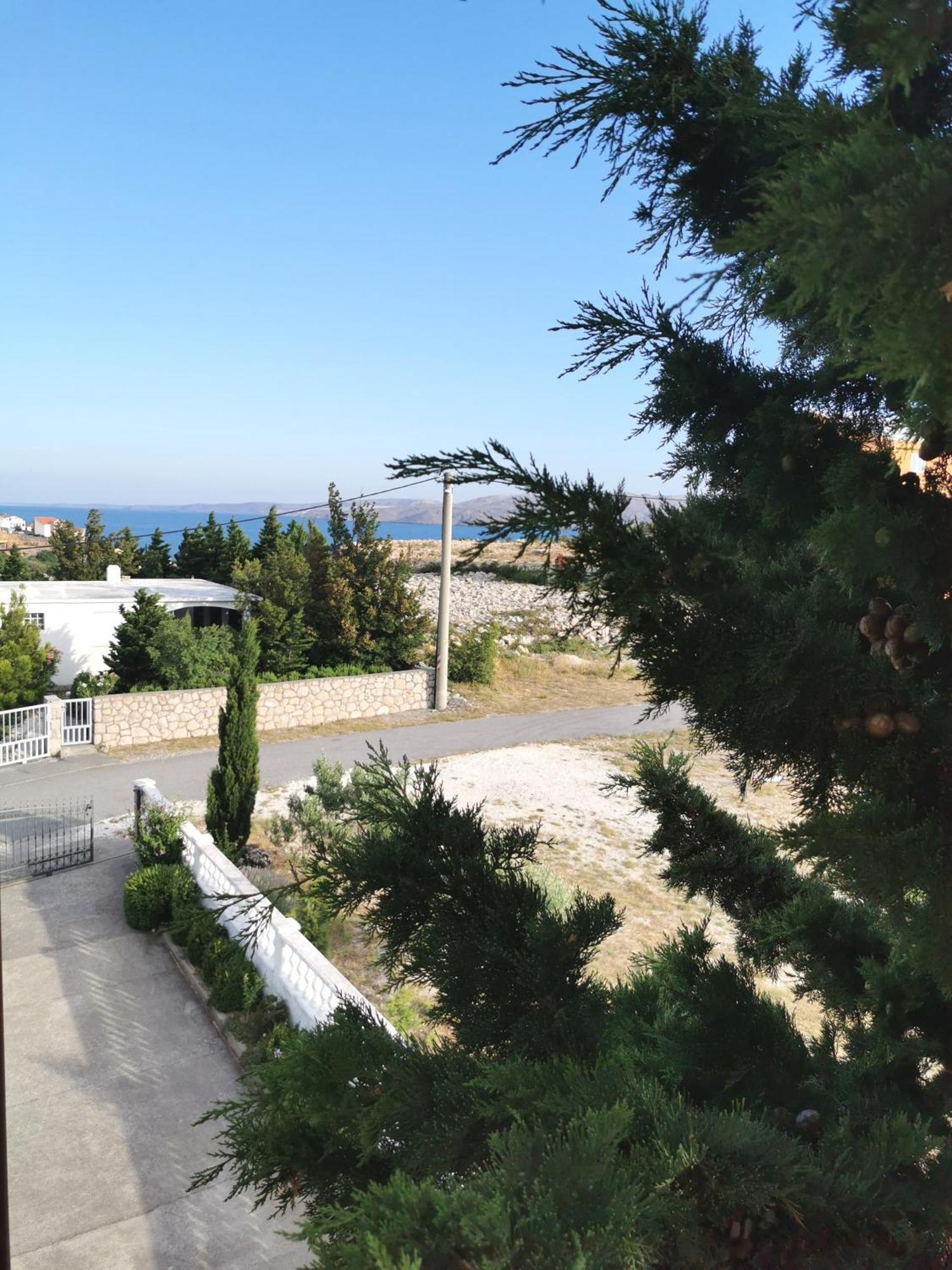 Apartmani Gabi Cesarica Kültér fotó
