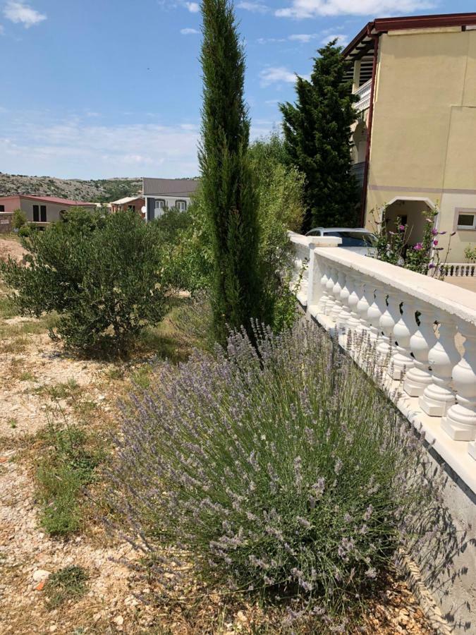 Apartmani Gabi Cesarica Kültér fotó