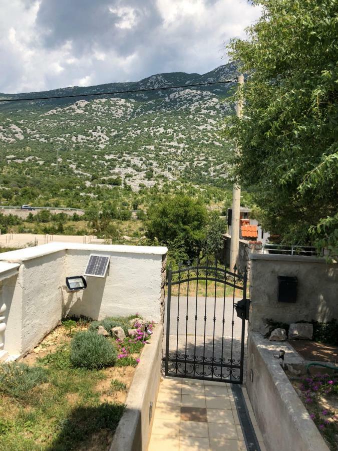 Apartmani Gabi Cesarica Kültér fotó