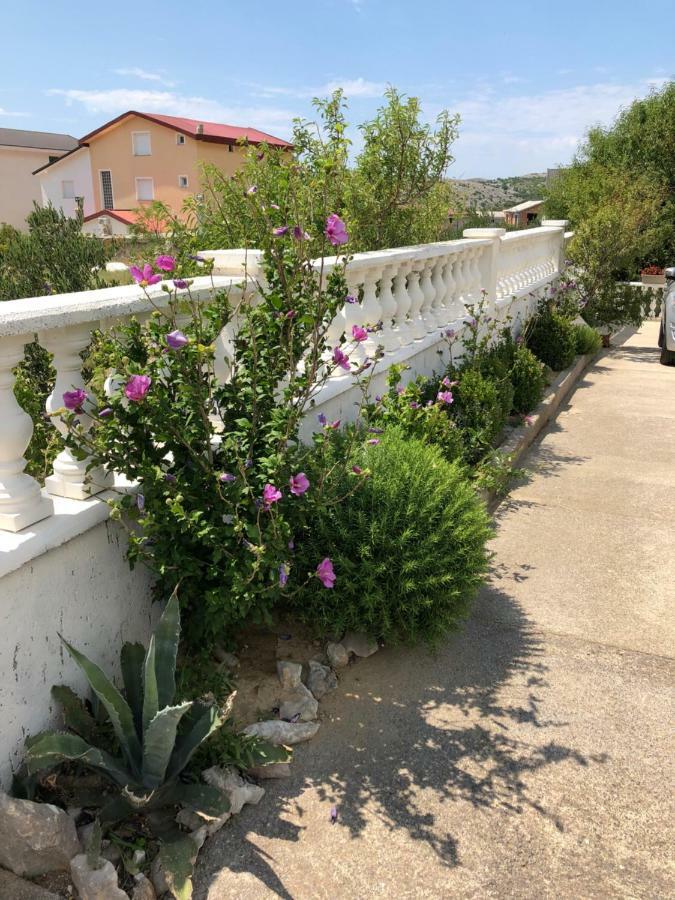 Apartmani Gabi Cesarica Kültér fotó