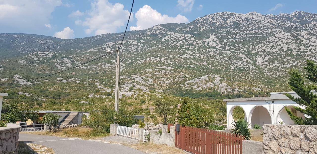 Apartmani Gabi Cesarica Kültér fotó